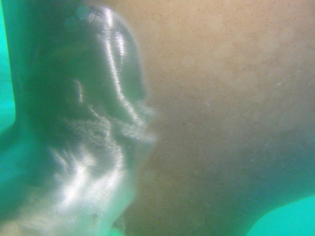 Destaque